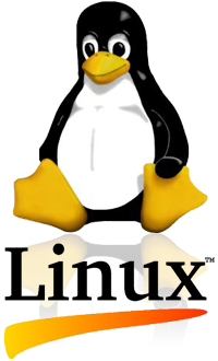 CLEVO - Enterprise X299 avec Ubuntu, Fedora, Debian, Mint ou Redhat